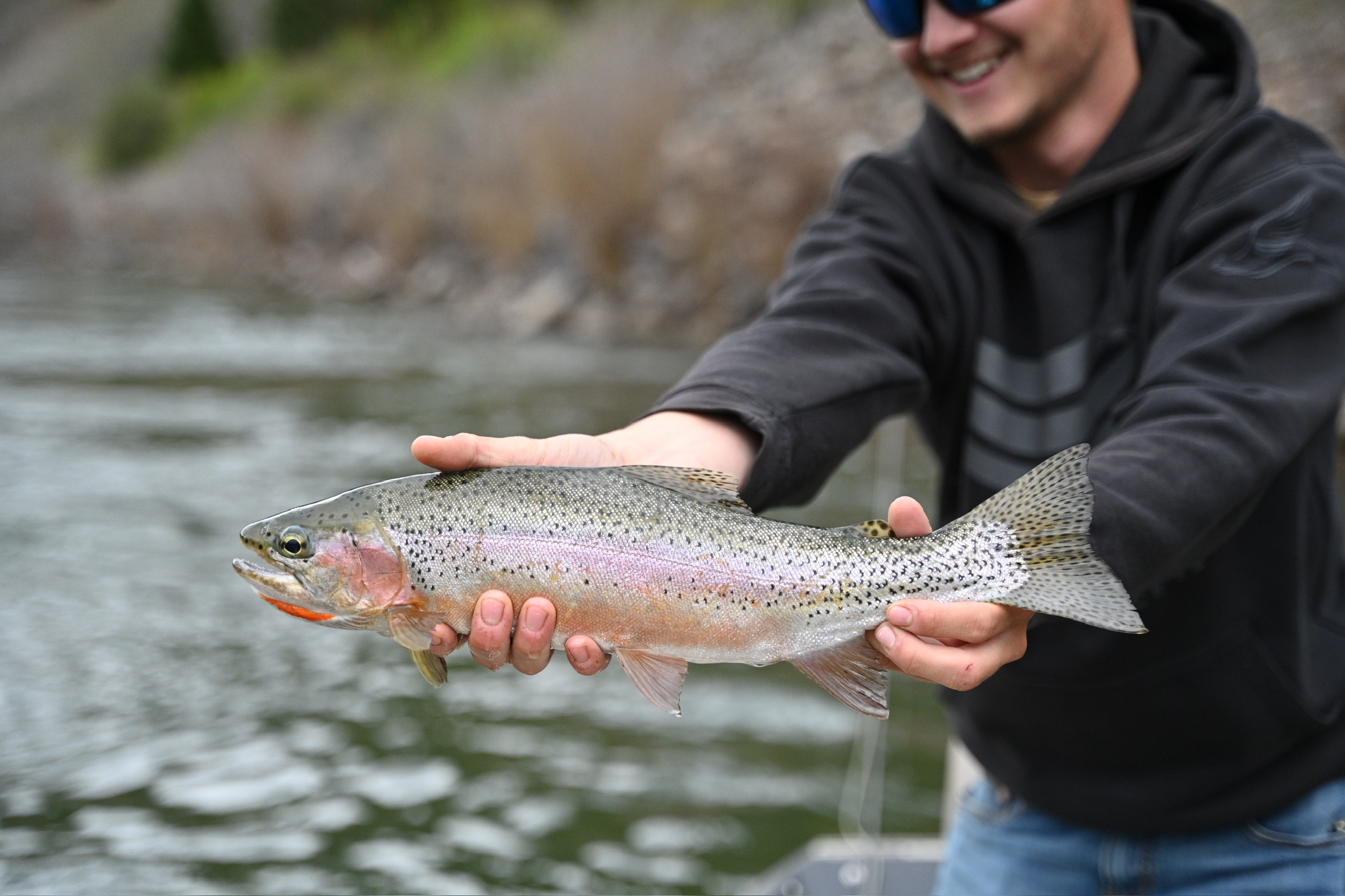 clark fork fly reel Cutty Kit – Selkirk Co Want line Clark Fork River Fly Fishing